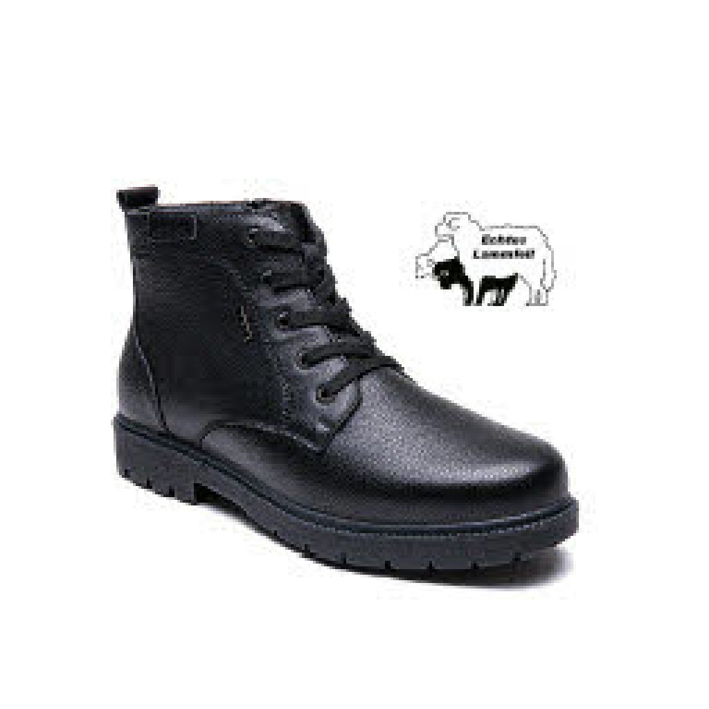H Stiefel